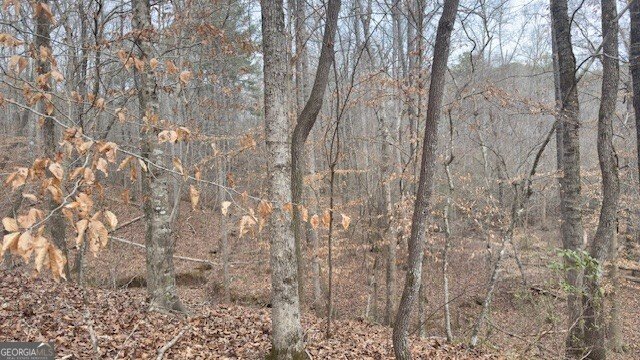 00 LOT3 N. Helton Road Douglasville - Photo 8