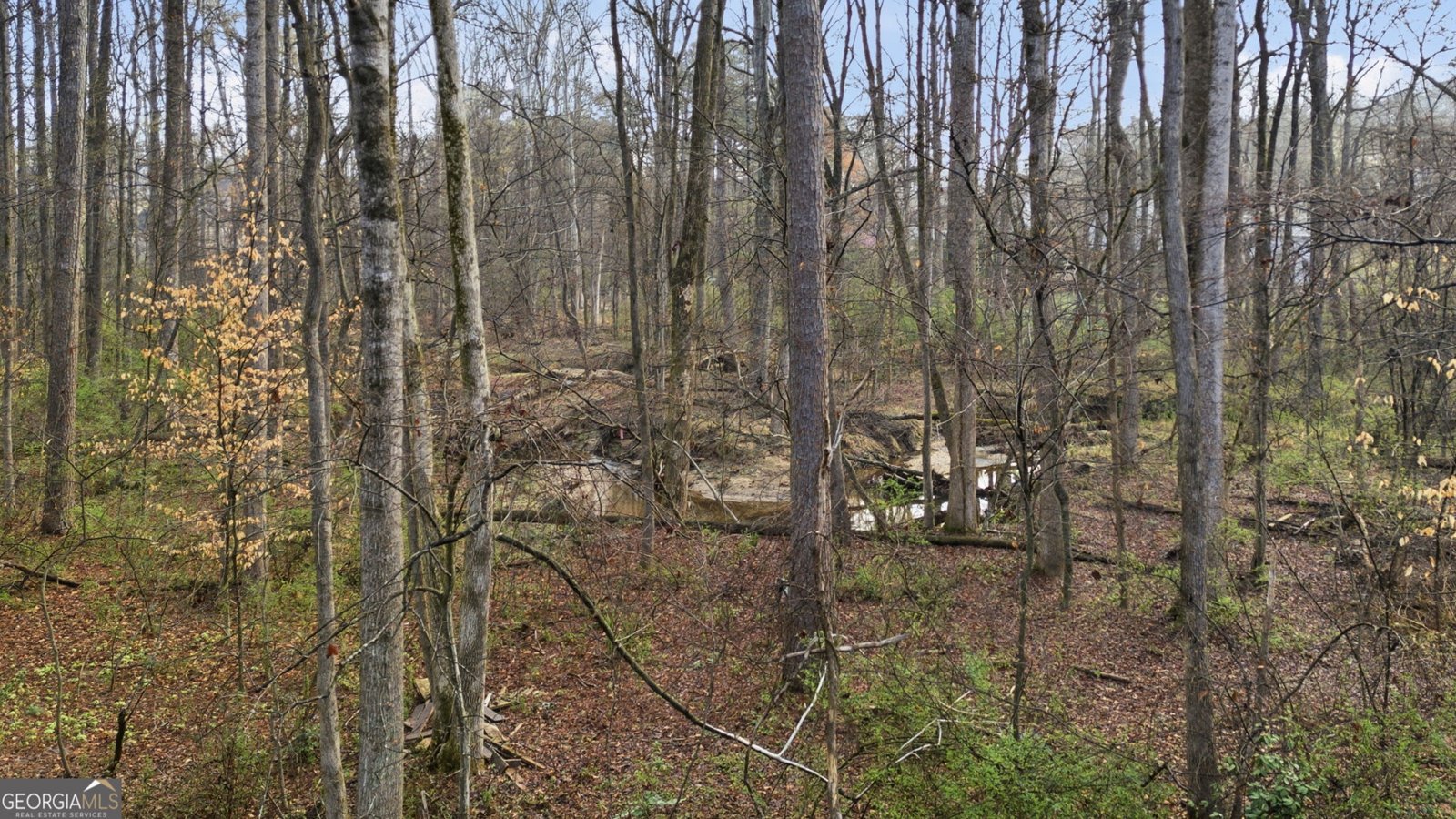 1543 Glencrest Trail Lawrenceville - Photo 42