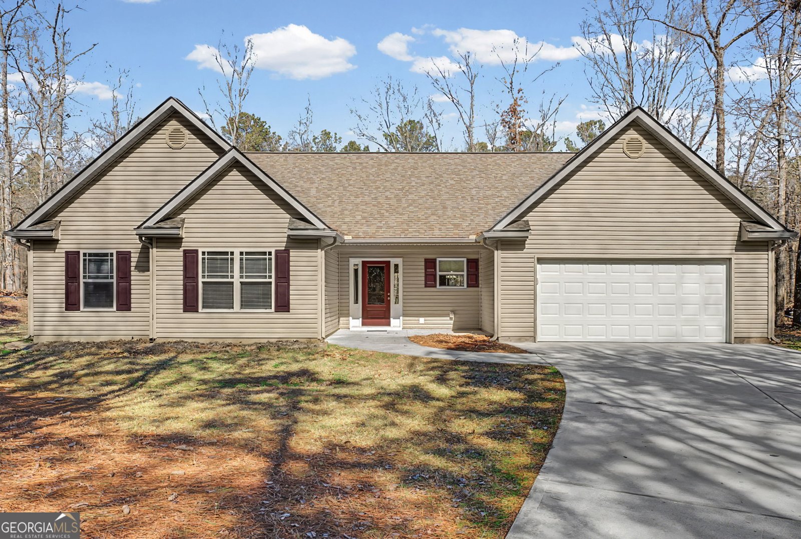 878 Gary Summers Road Senoia - Photo 1