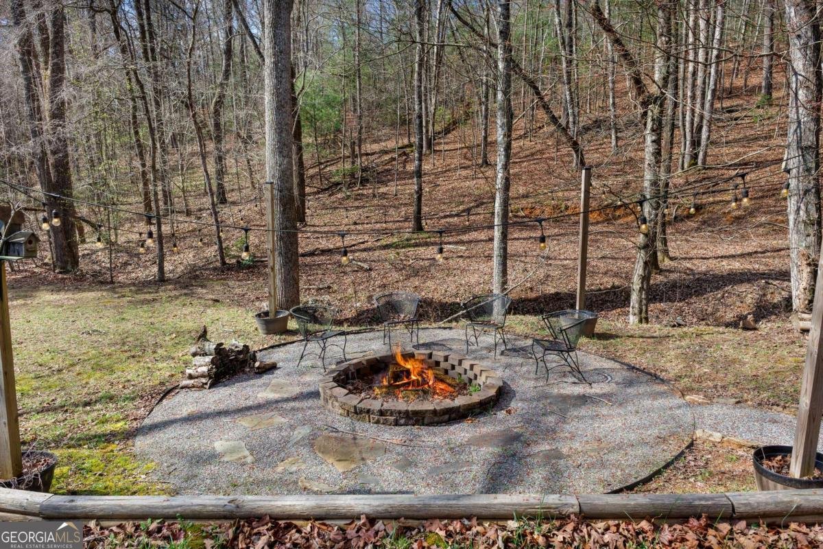 166 Dallas Lane Blue Ridge - Photo 21