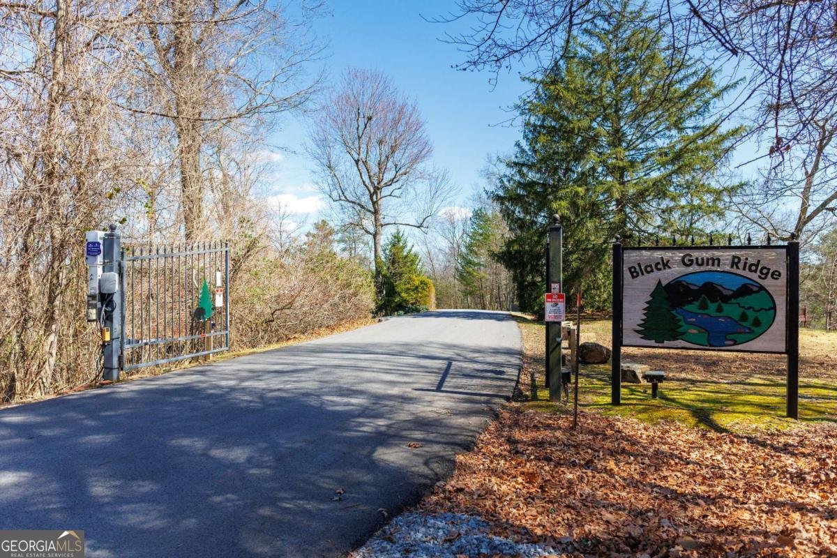 166 Dallas Lane Blue Ridge - Photo 24