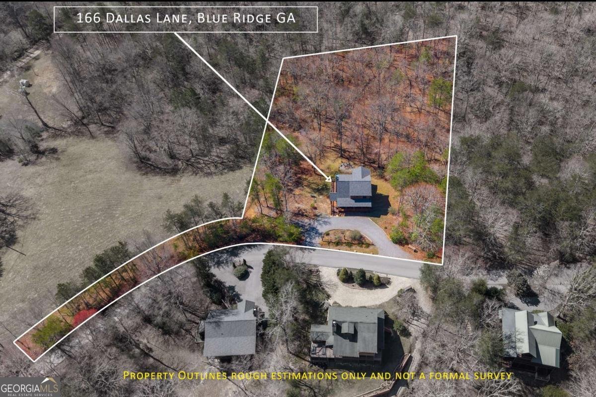 166 Dallas Lane Blue Ridge - Photo 26