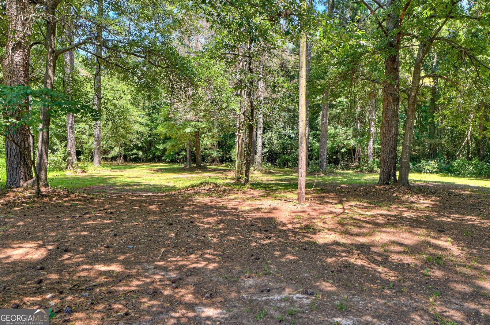 1445 Lincolnton Road Washington - Photo 37