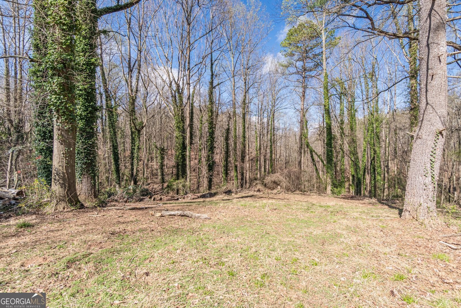 1203 E Ridge Rd GAINESVILLE - Photo 34