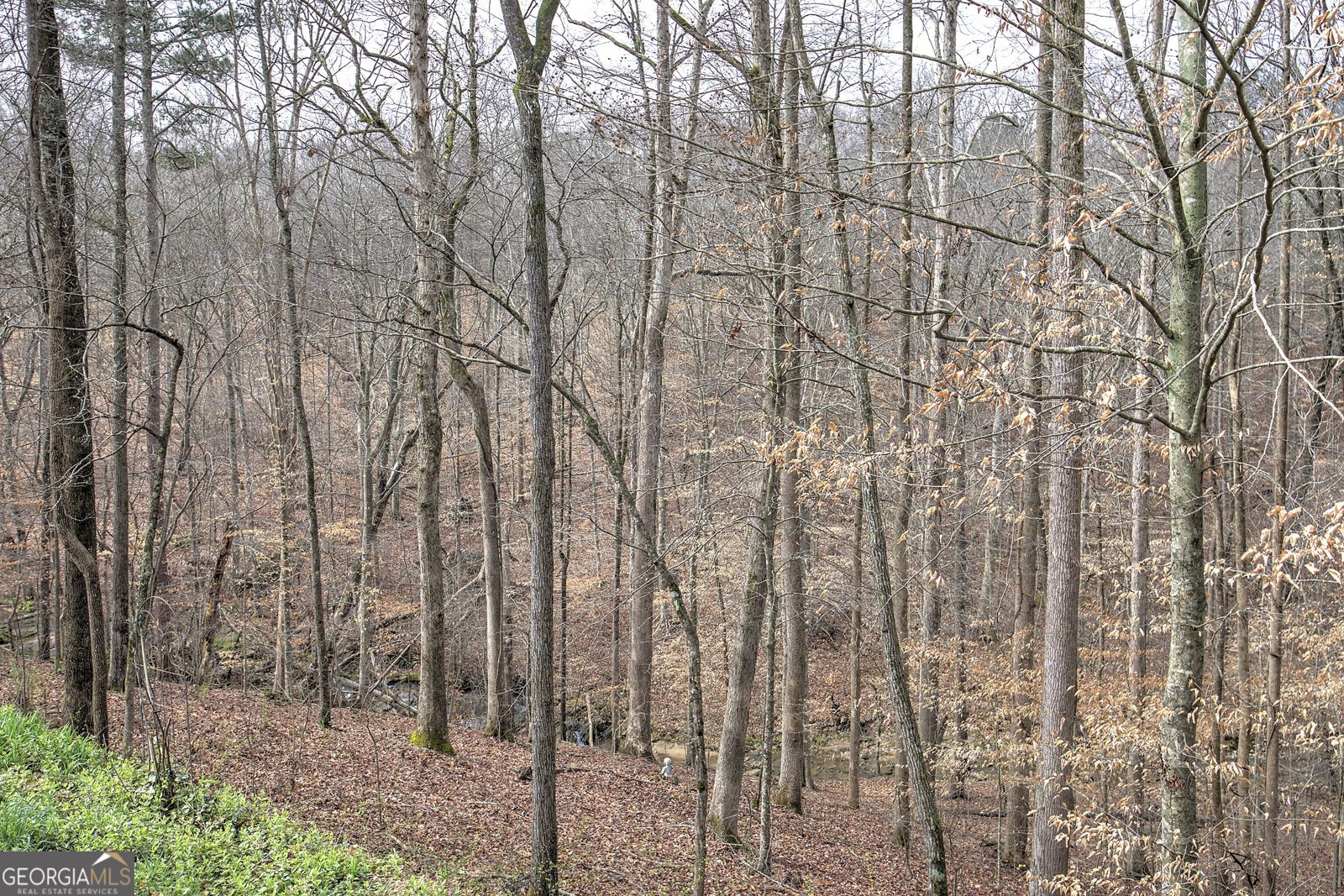 302 Waterfall Court Canton - Photo 47