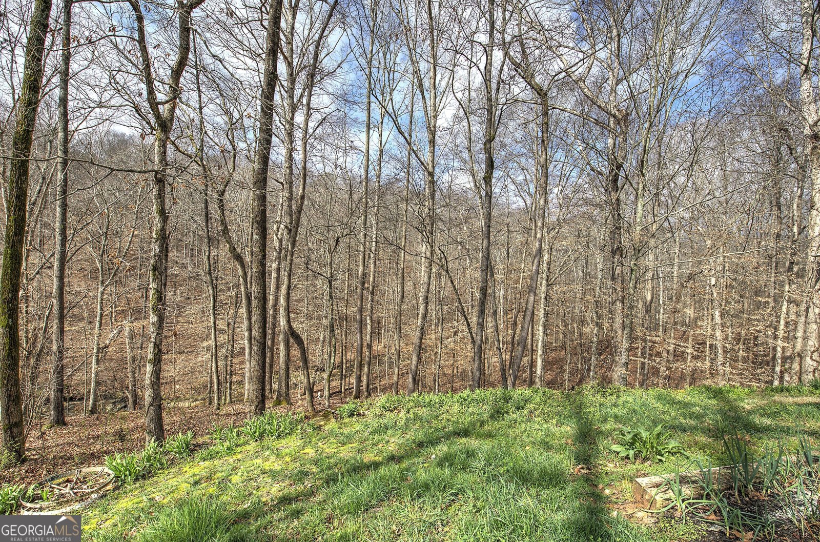 302 Waterfall Court Canton - Photo 48