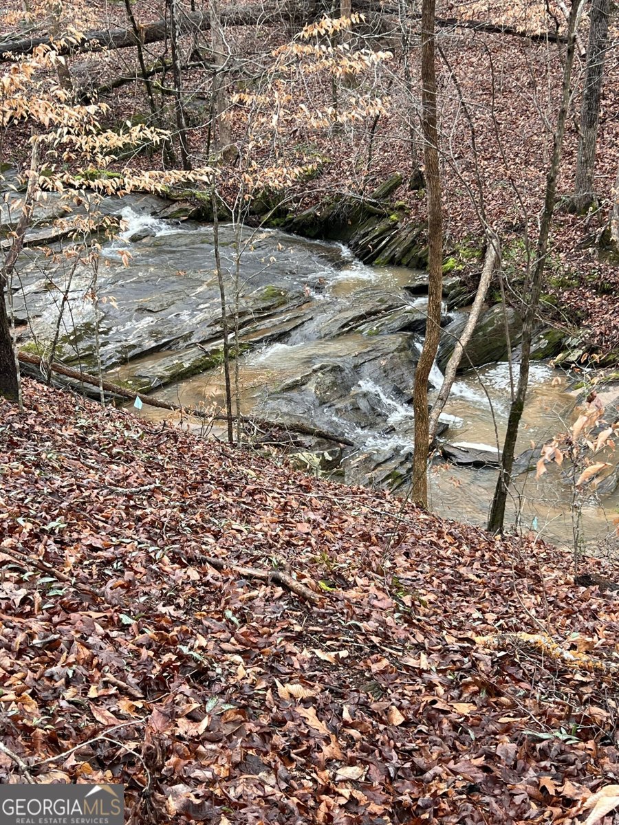 302 Waterfall Court Canton - Photo 49