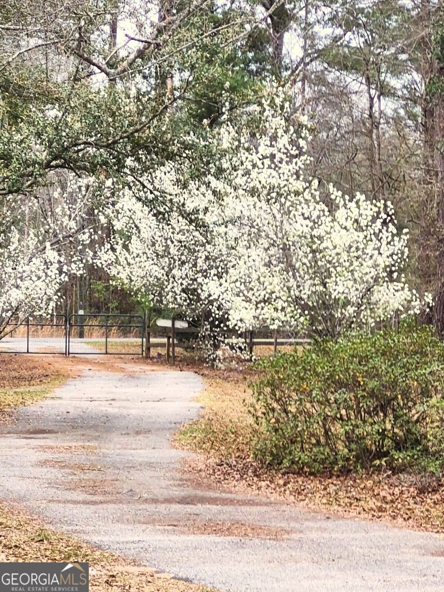 1851 I G Lanier Road Pembroke - Photo 6