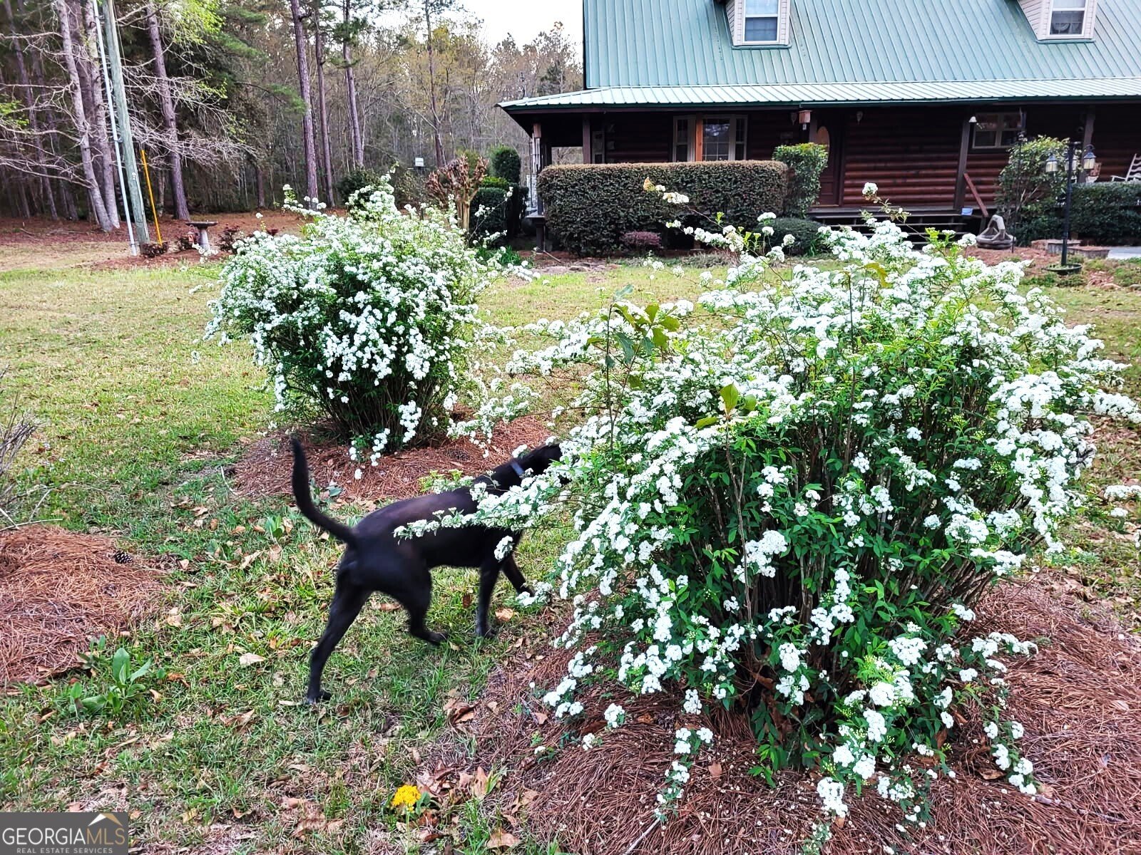 1851 I G Lanier Road Pembroke - Photo 7