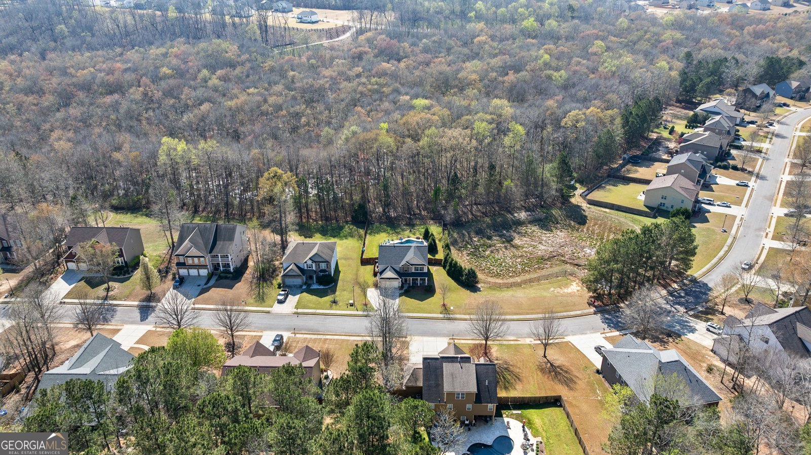 190 Tudor Way Senoia - Photo 45