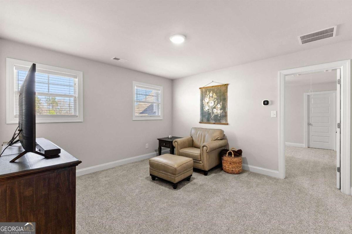 132 Bluff Mill Farm Drive Senoia - Photo 29