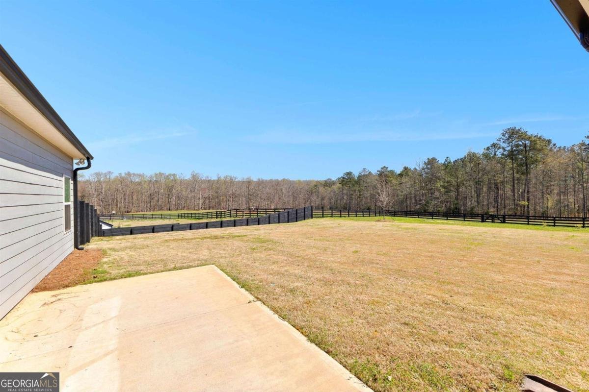 132 Bluff Mill Farm Drive Senoia - Photo 36