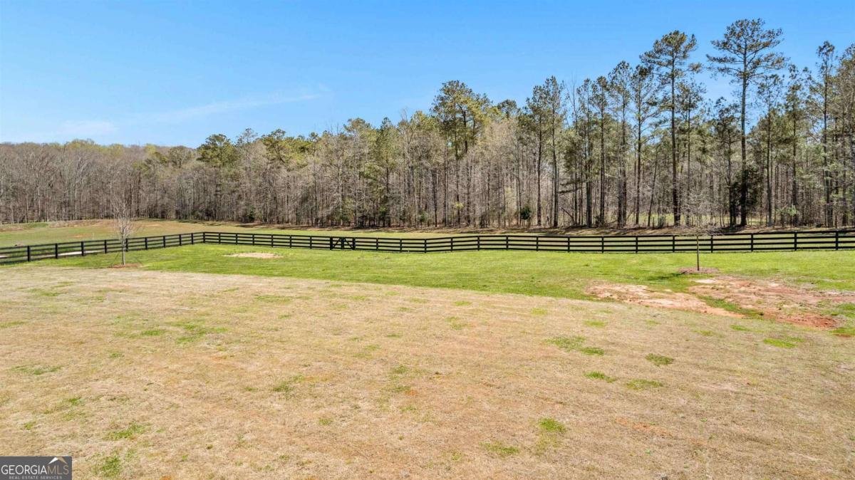 132 Bluff Mill Farm Drive Senoia - Photo 37