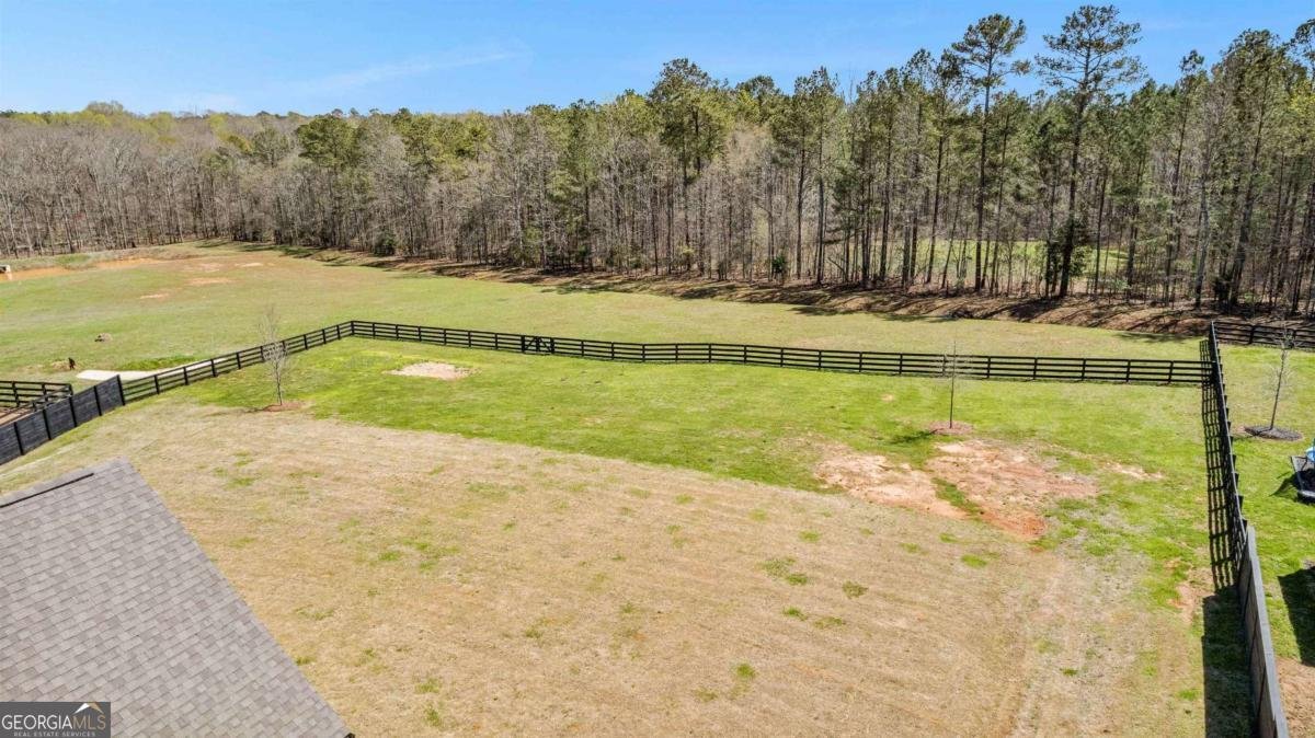 132 Bluff Mill Farm Drive Senoia - Photo 38