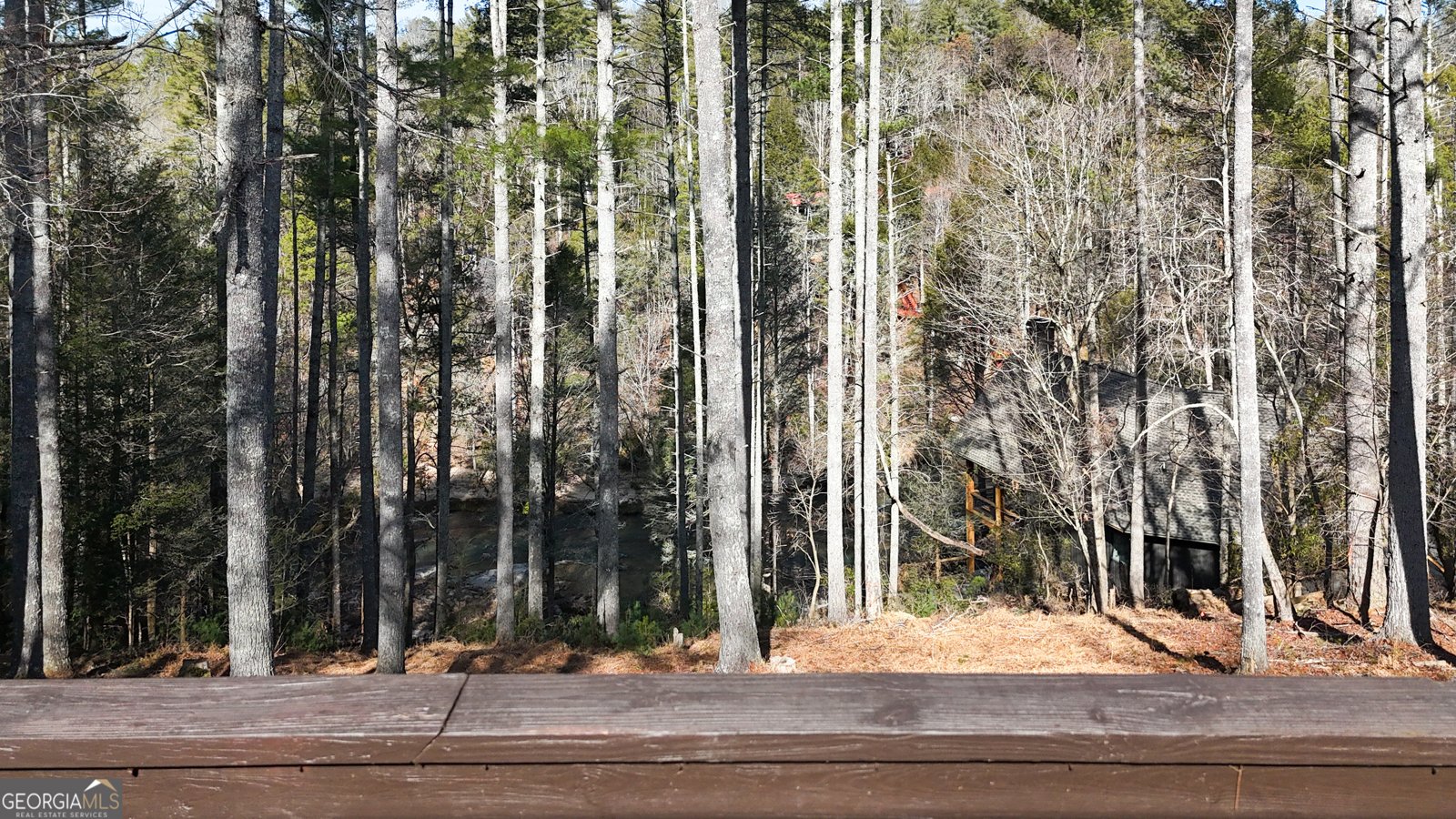 499 Old Deer Path Way Cleveland - Photo 24