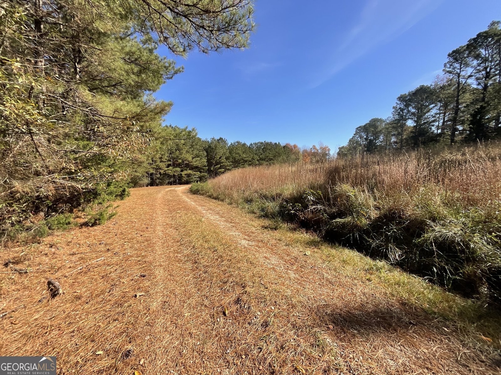 501 Raleigh Road Woodbury - Photo 47