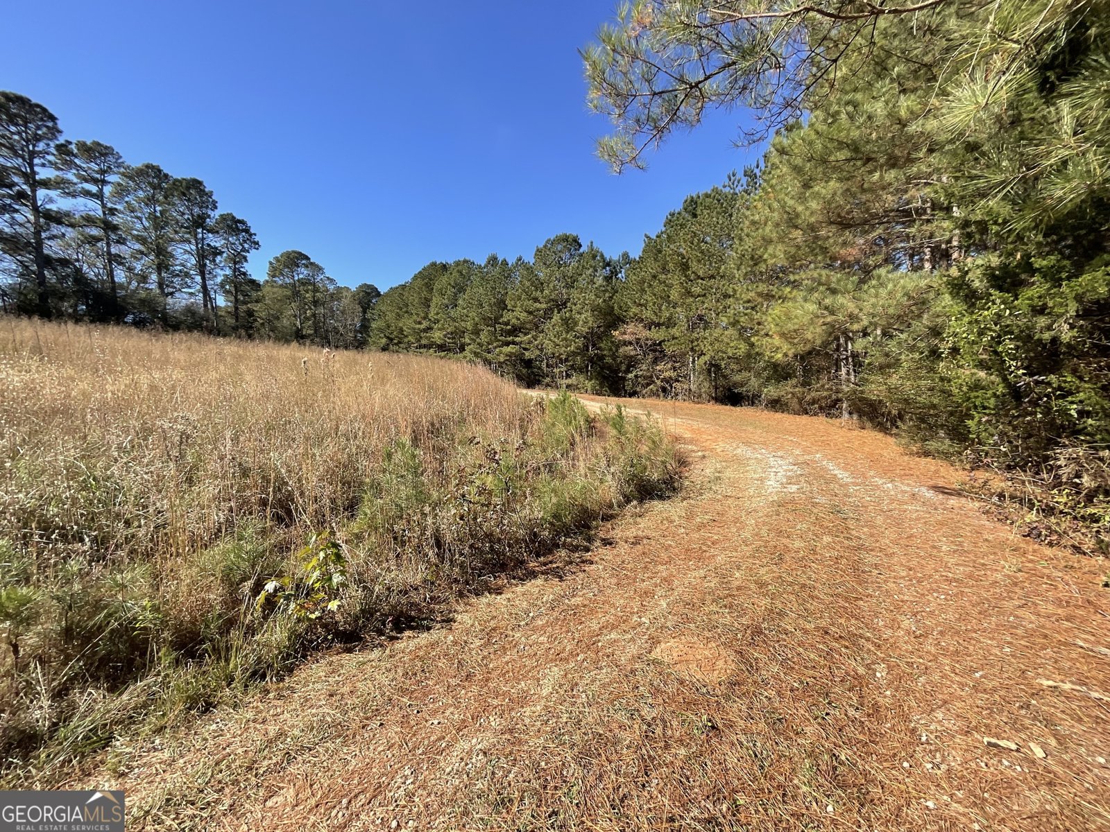 501 Raleigh Road Woodbury - Photo 48