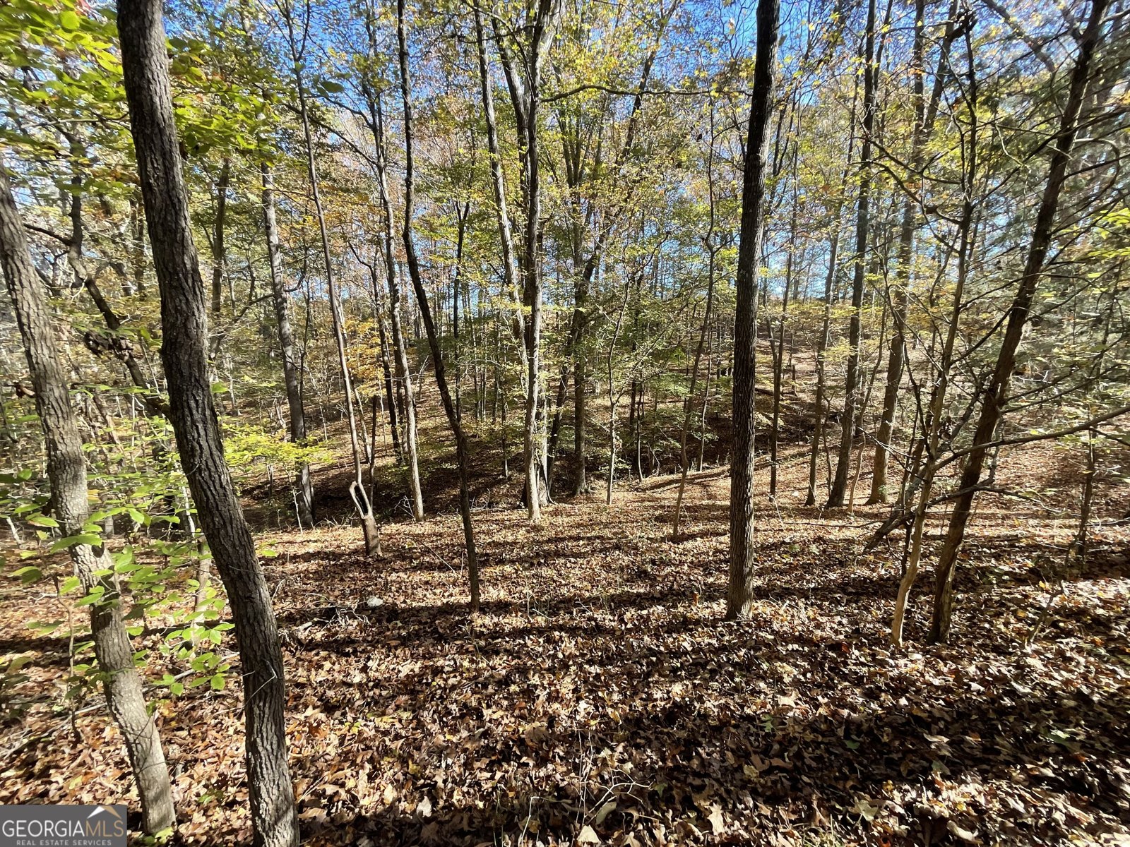 501 Raleigh Road Woodbury - Photo 50