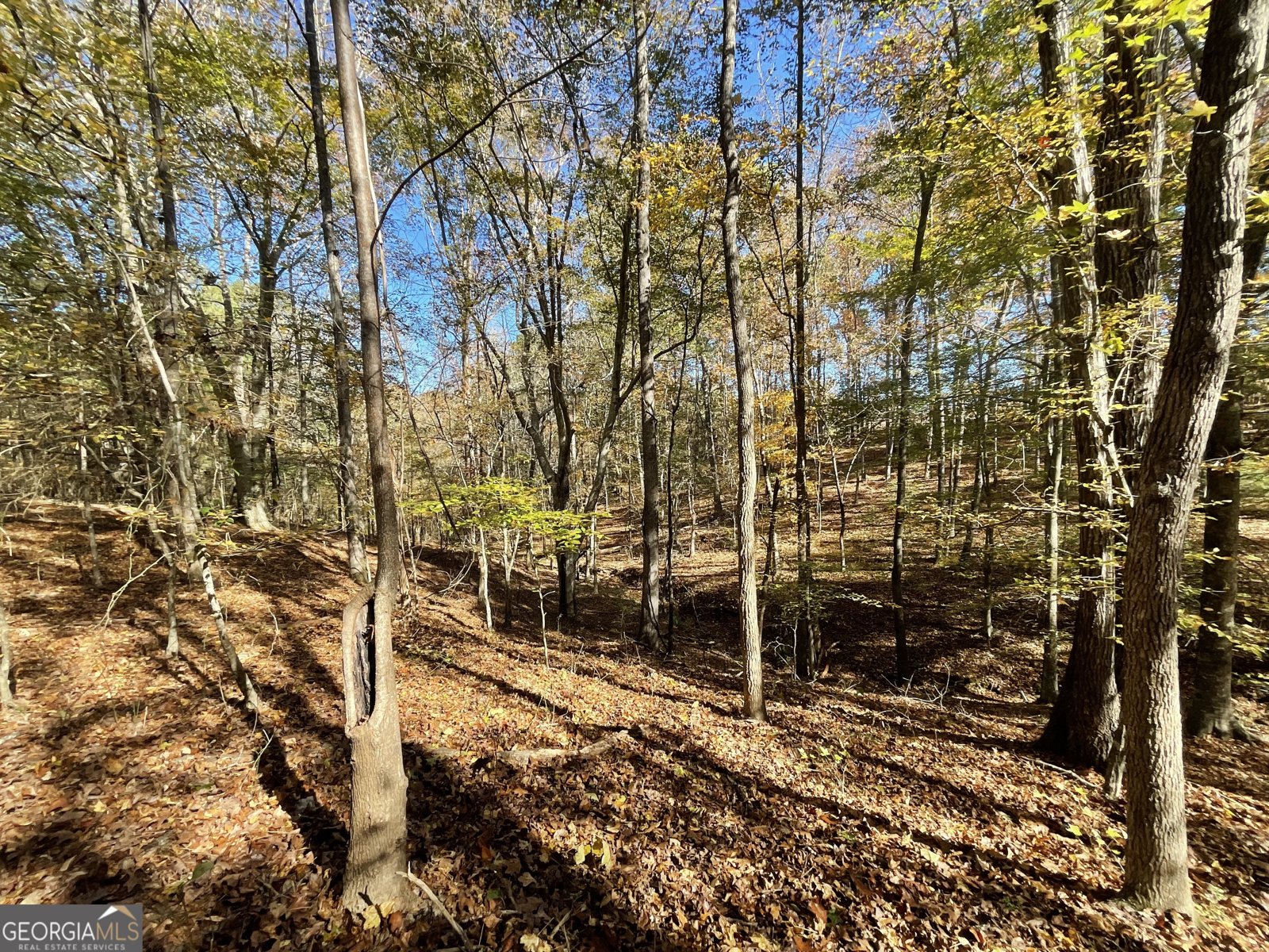 501 Raleigh Road Woodbury - Photo 51