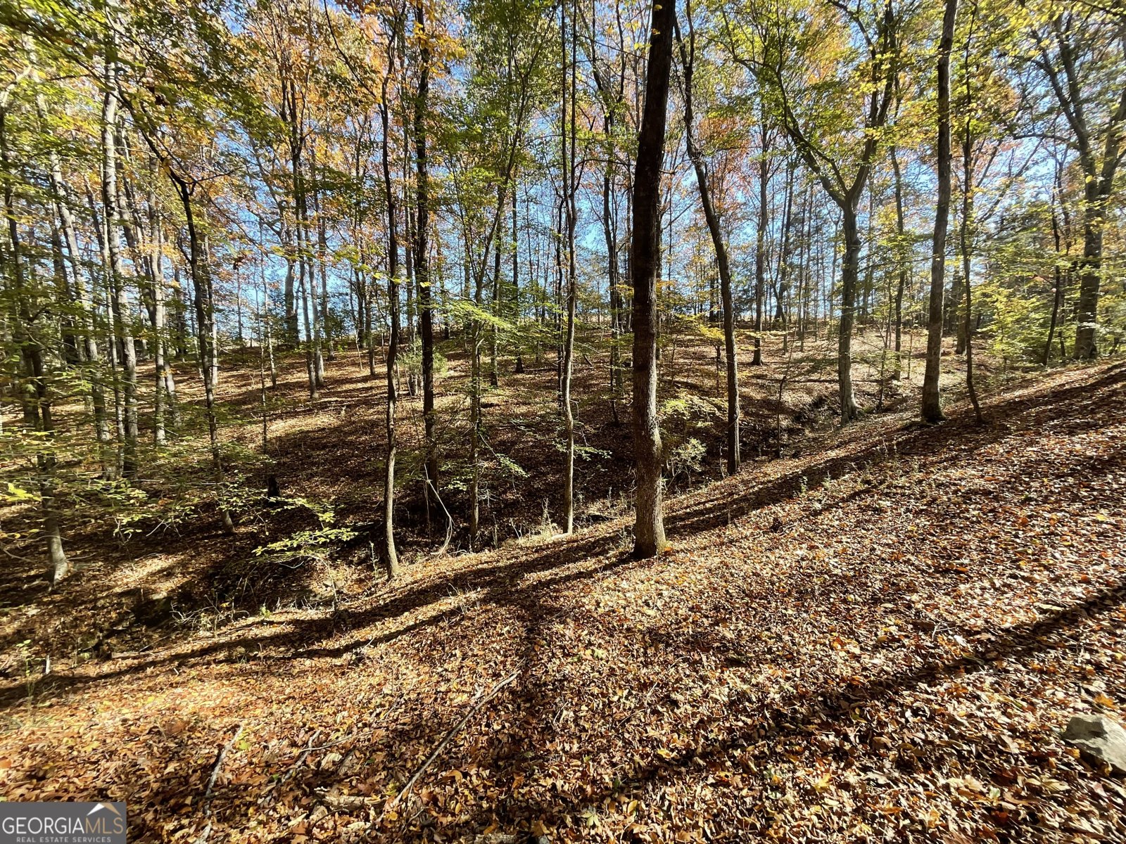 501 Raleigh Road Woodbury - Photo 52