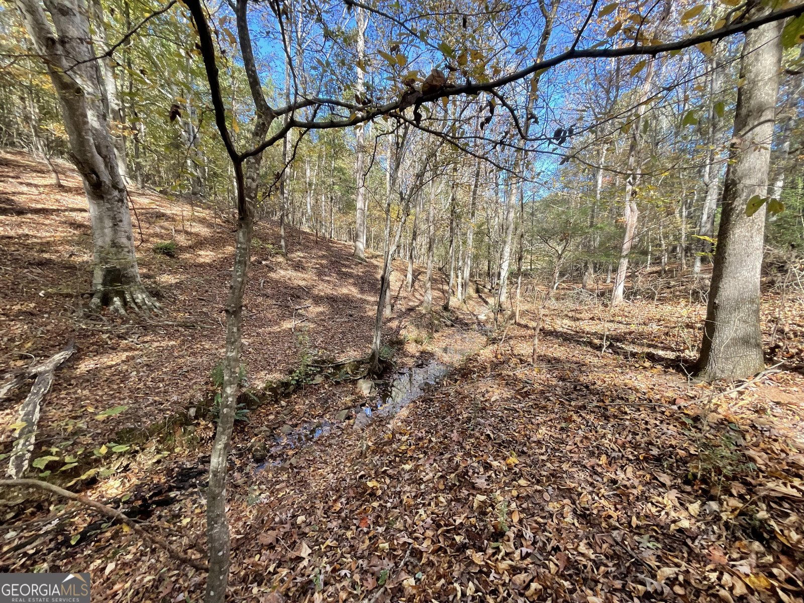 501 Raleigh Road Woodbury - Photo 55