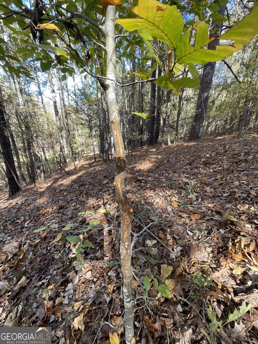 501 Raleigh Road Woodbury - Photo 61