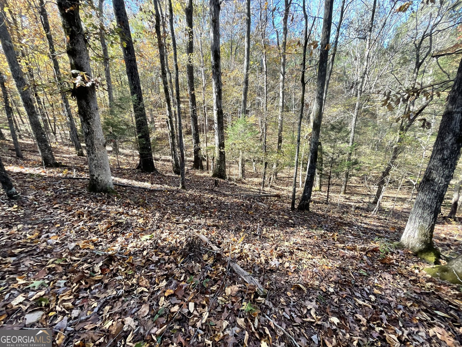 501 Raleigh Road Woodbury - Photo 62