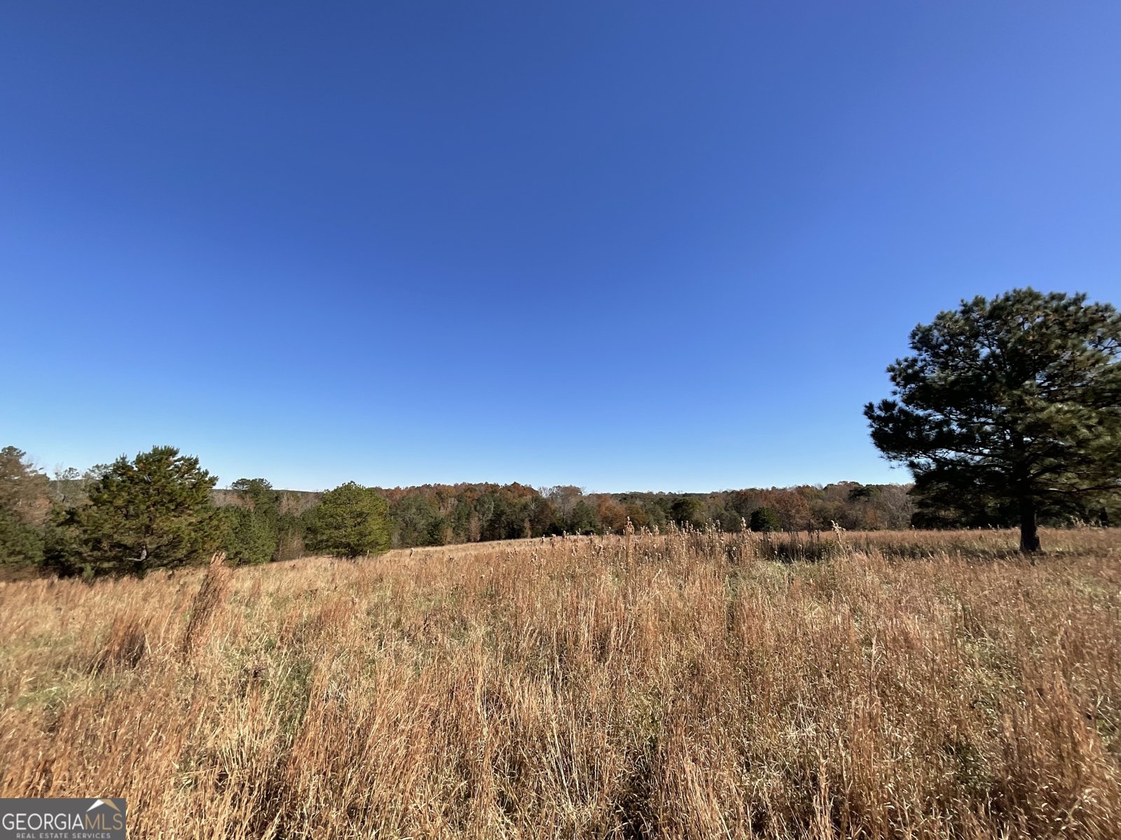 501 Raleigh Road Woodbury - Photo 92