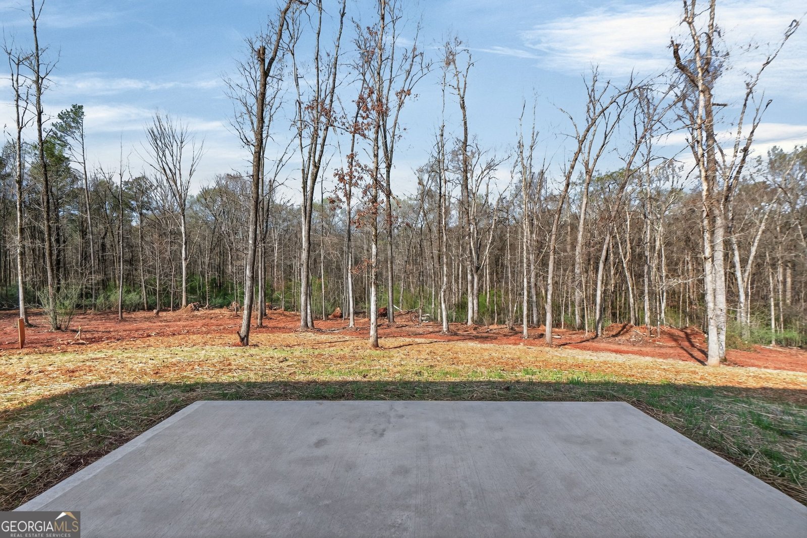 645 Musgrove Road Griffin - Photo 42