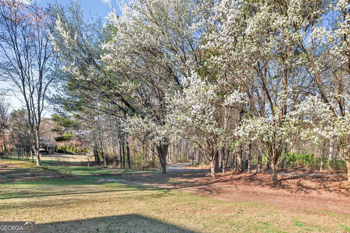 2245 Duncans Shore Drive Buford - Photo 58
