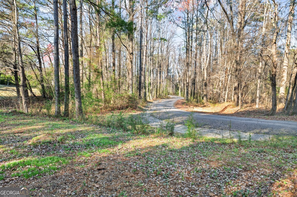 2245 Duncans Shore Drive Buford - Photo 63