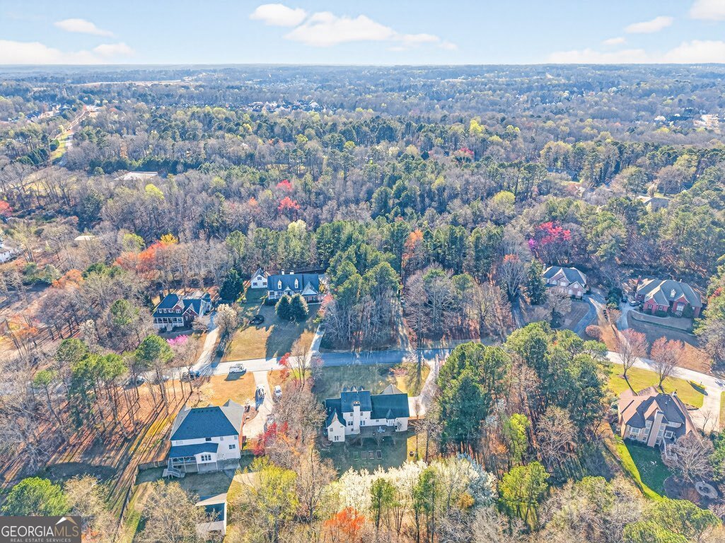 2245 Duncans Shore Drive Buford - Photo 78