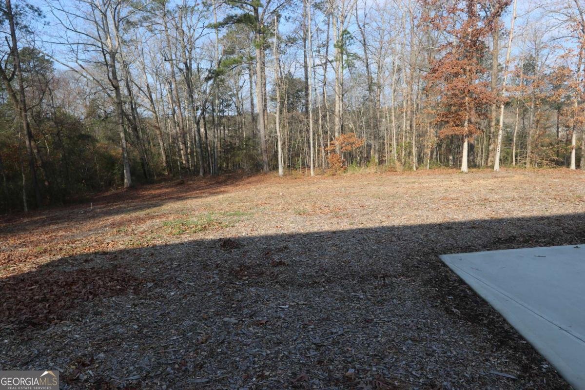 3251 Lenora Church Road Snellville - Photo 73