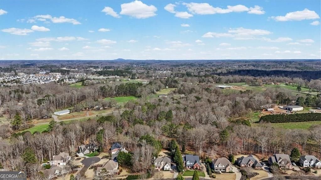 4027 Hickory Fairway Drive Woodstock - Photo 80