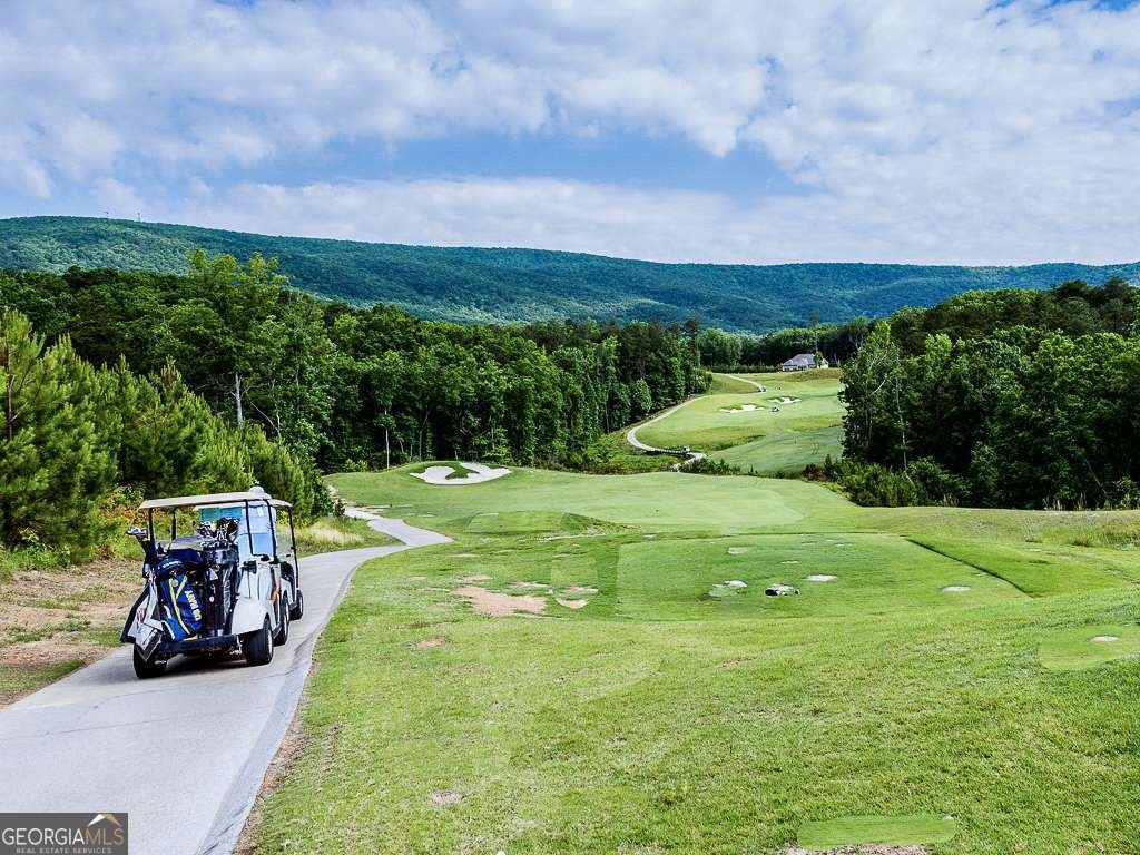 114 Narrows Loop Waleska - Photo 60