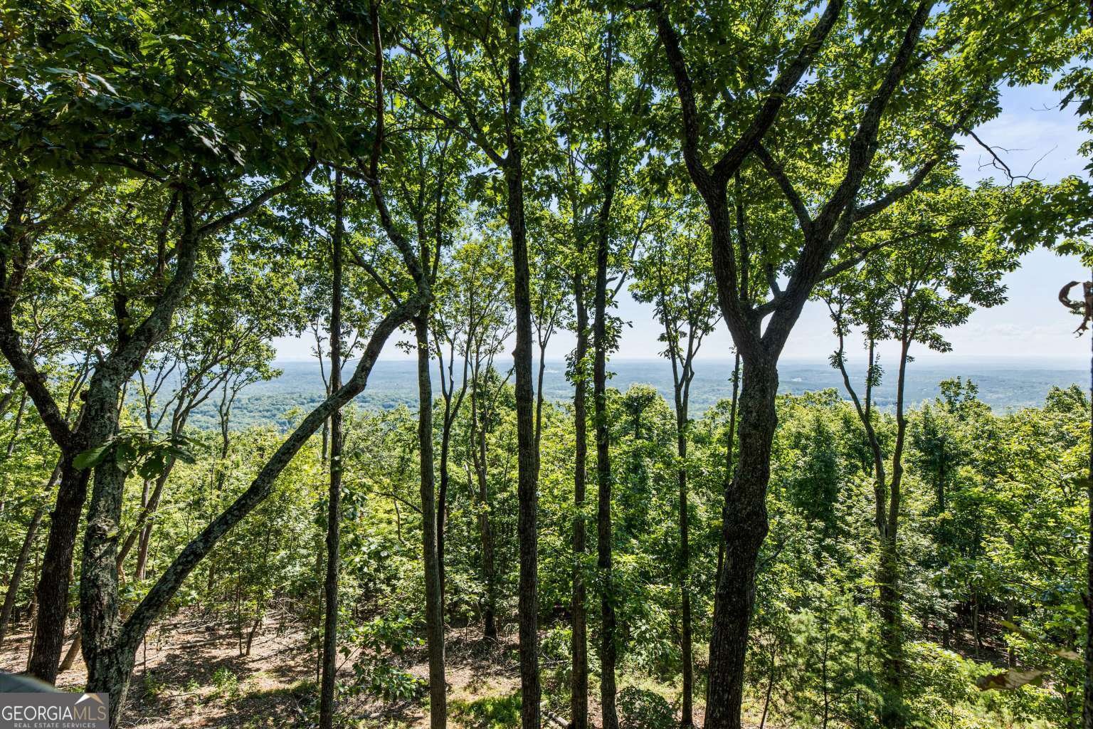 912 Mcelroy Mountain Drive Jasper - Photo 23