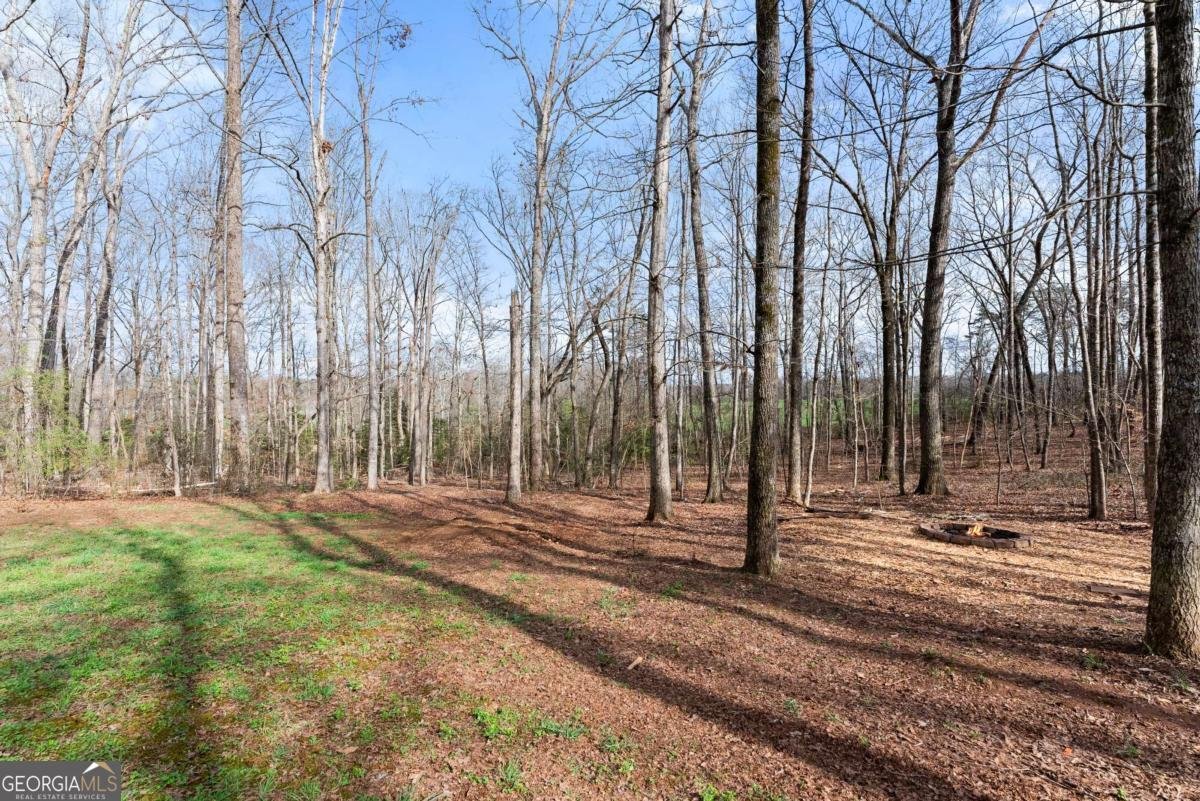 5812 Shadow Oaks Drive Murrayville - Photo 47