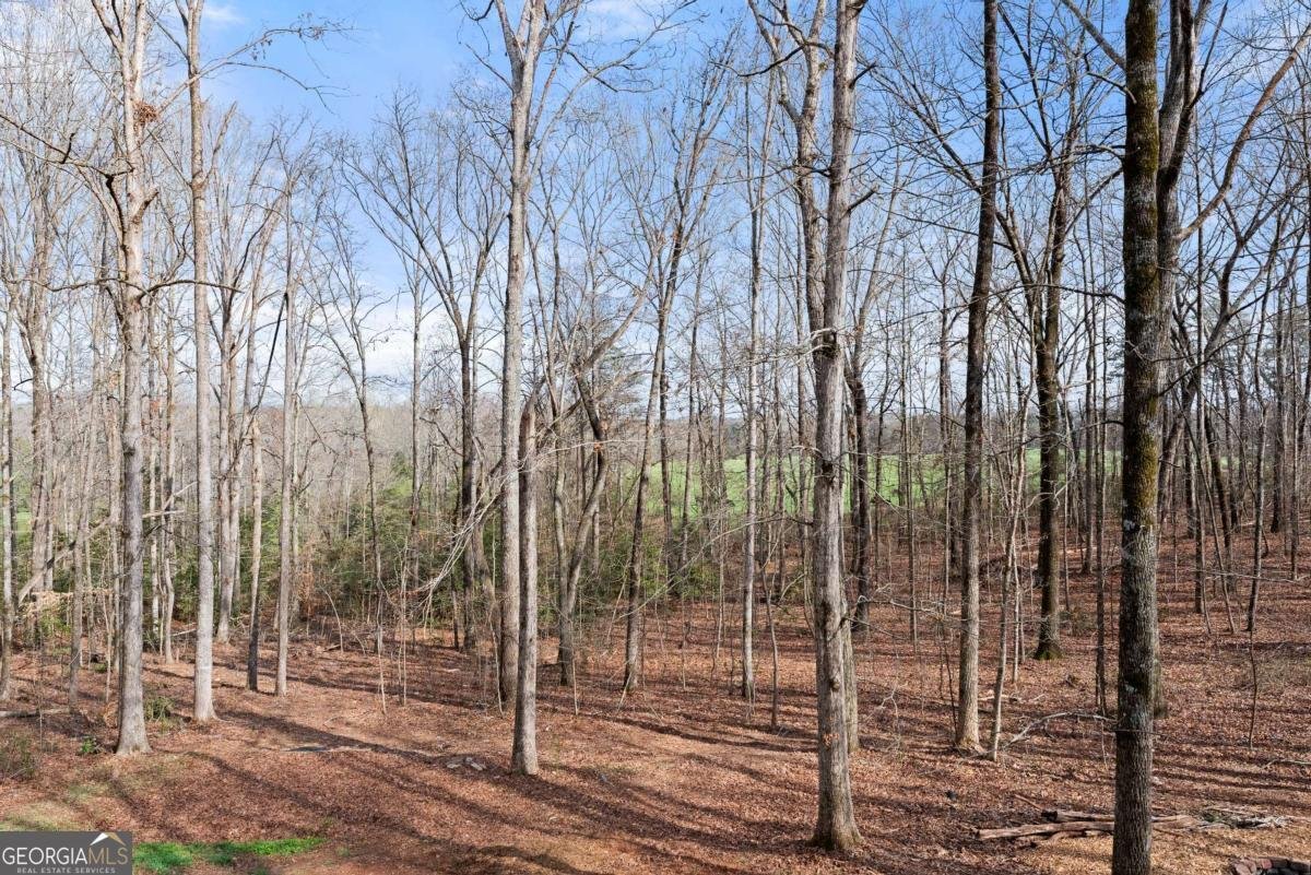 5812 Shadow Oaks Drive Murrayville - Photo 52