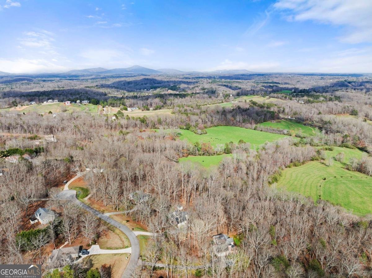 5812 Shadow Oaks Drive Murrayville - Photo 67