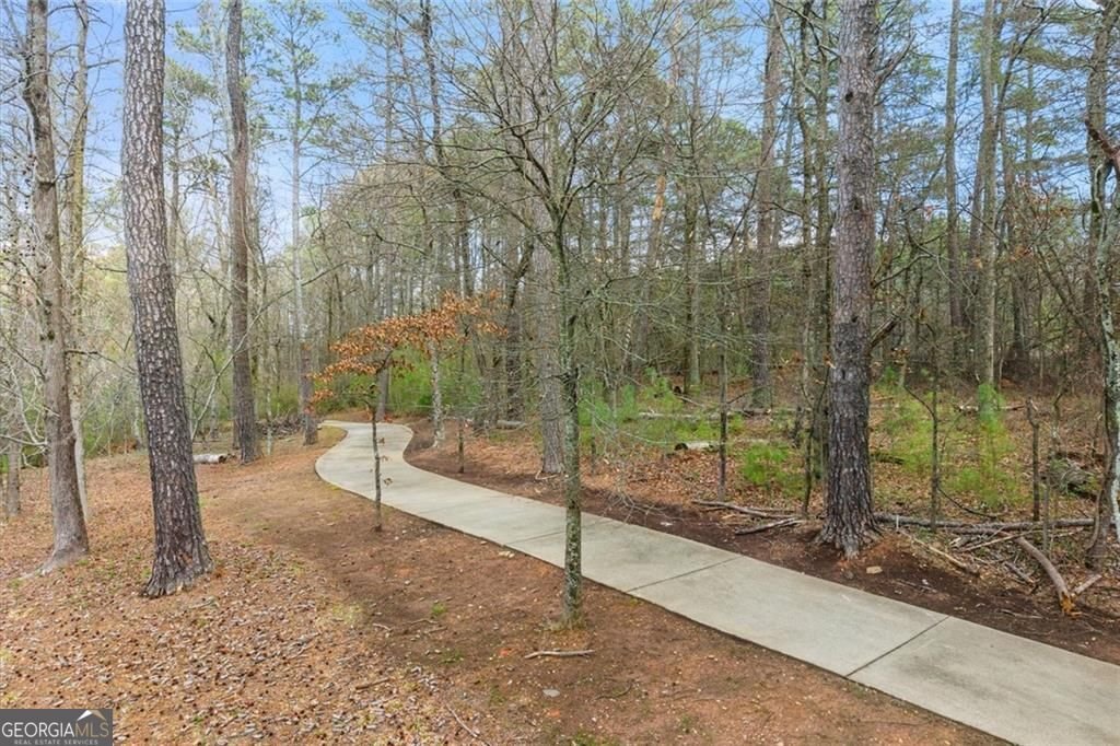 450 Ellis Avenue Alpharetta - Photo 52