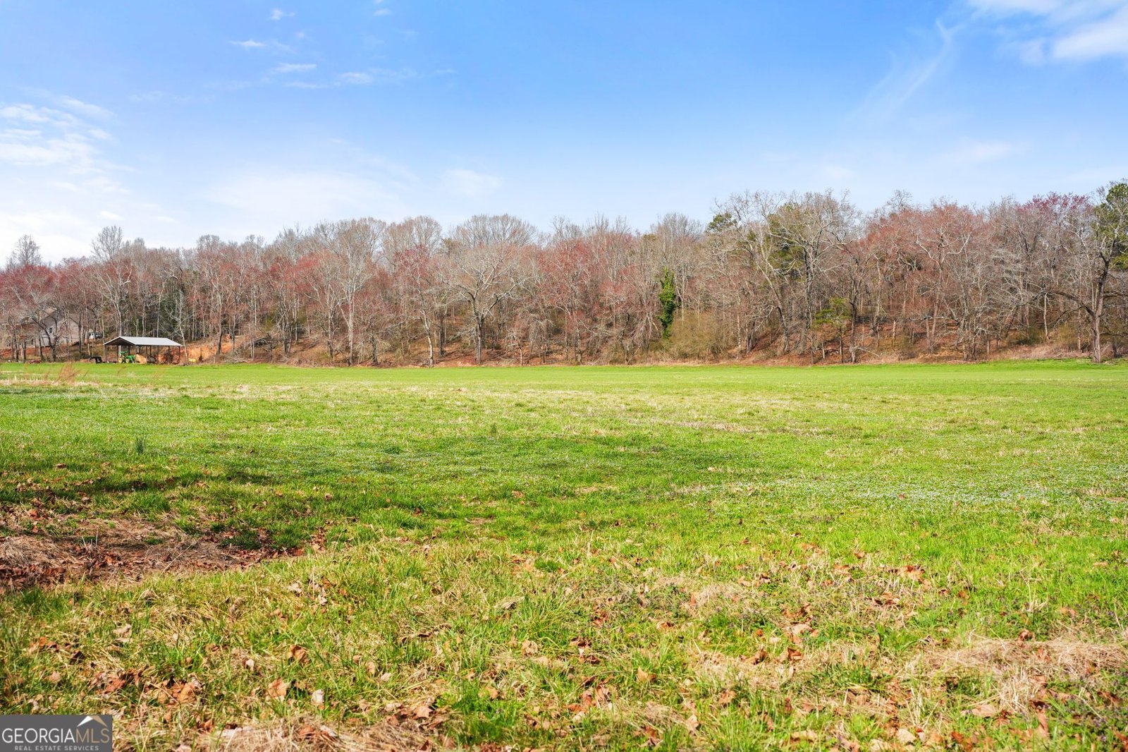 201 Fred Pitts Road Demorest - Photo 46