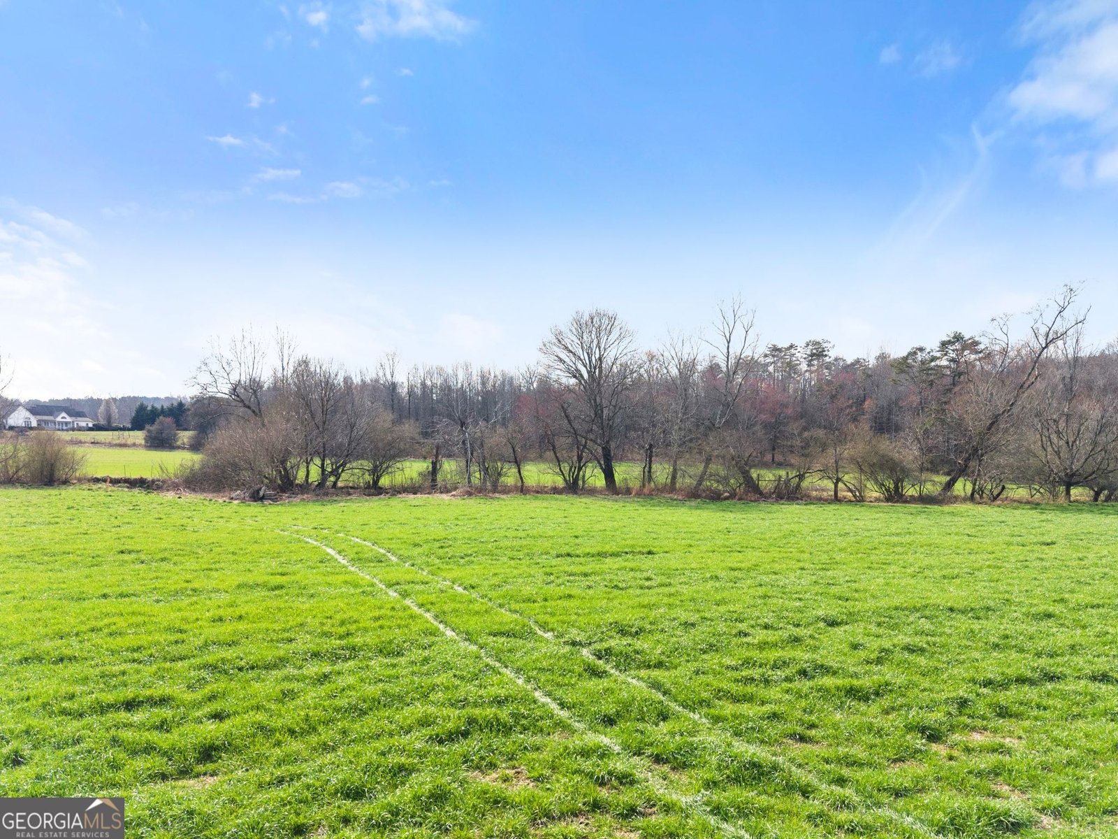 201 Fred Pitts Road Demorest - Photo 50