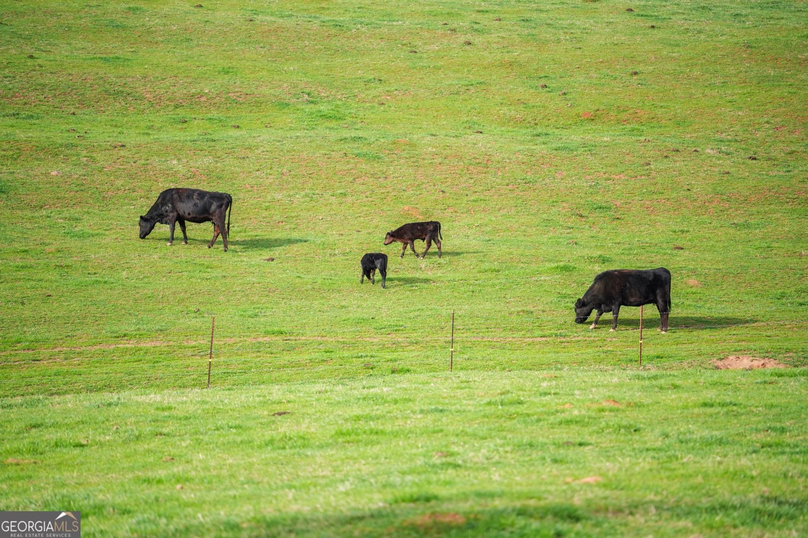 201 Fred Pitts Road Demorest - Photo 51