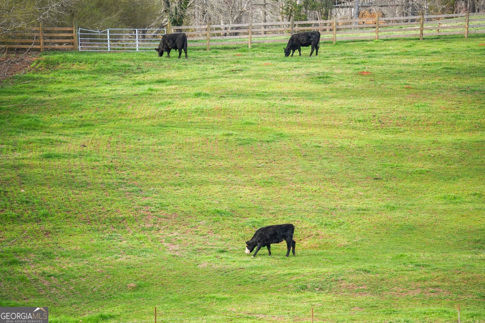 201 Fred Pitts Road Demorest - Photo 52