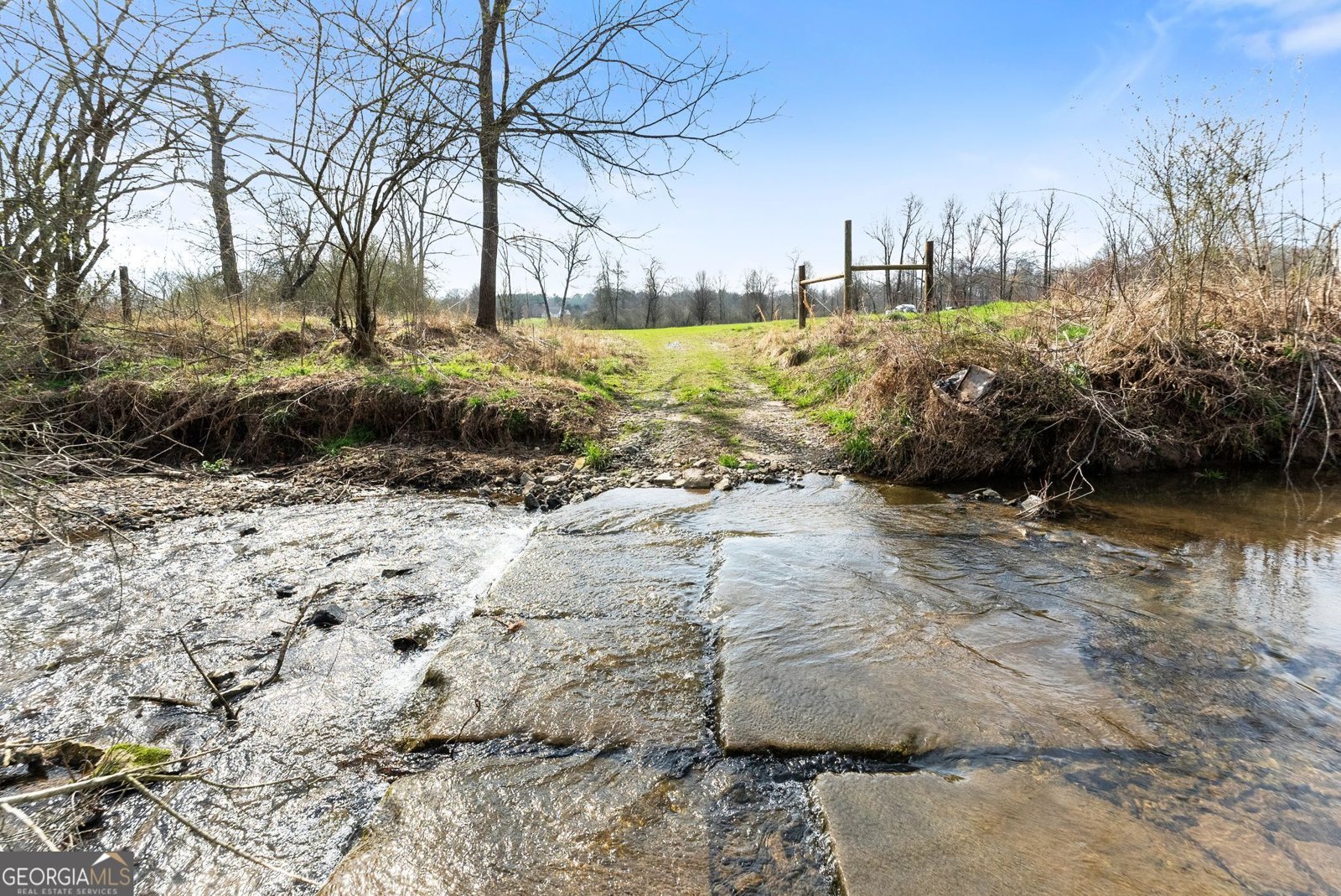 201 Fred Pitts Road Demorest - Photo 6