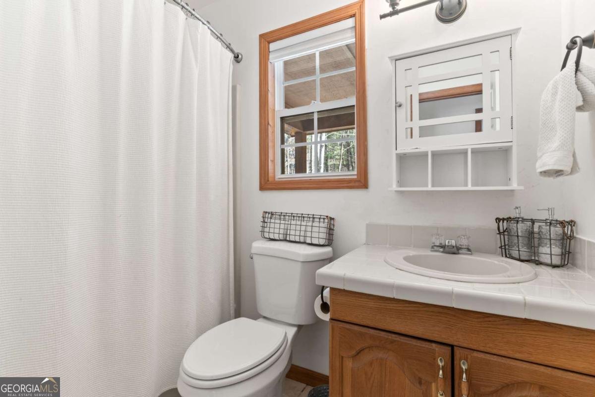 257 AJs Holler Blairsville - Photo 17