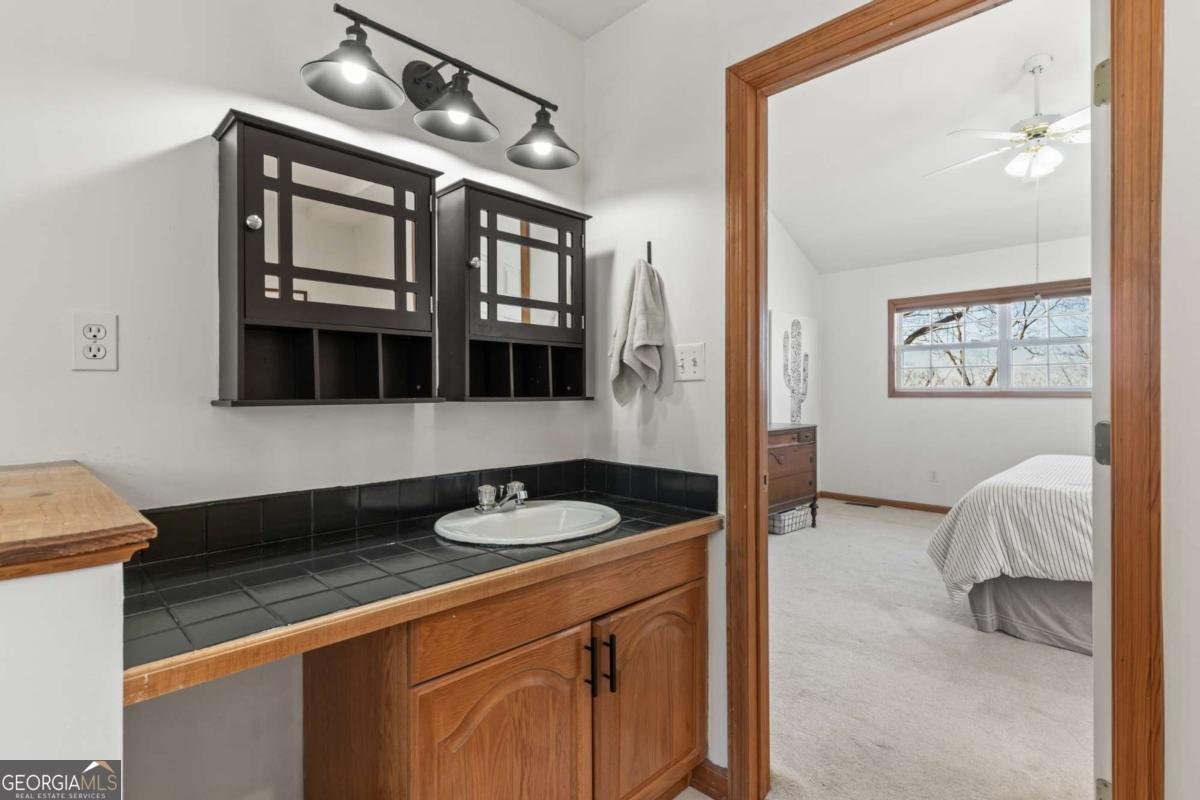 257 AJs Holler Blairsville - Photo 26