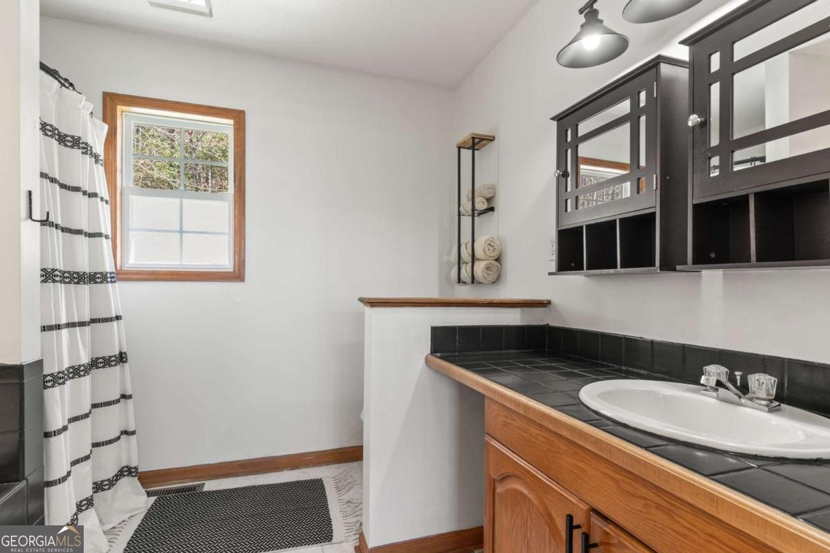 257 AJs Holler Blairsville - Photo 29