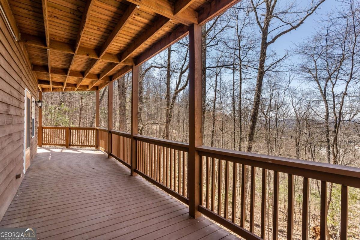 257 AJs Holler Blairsville - Photo 45