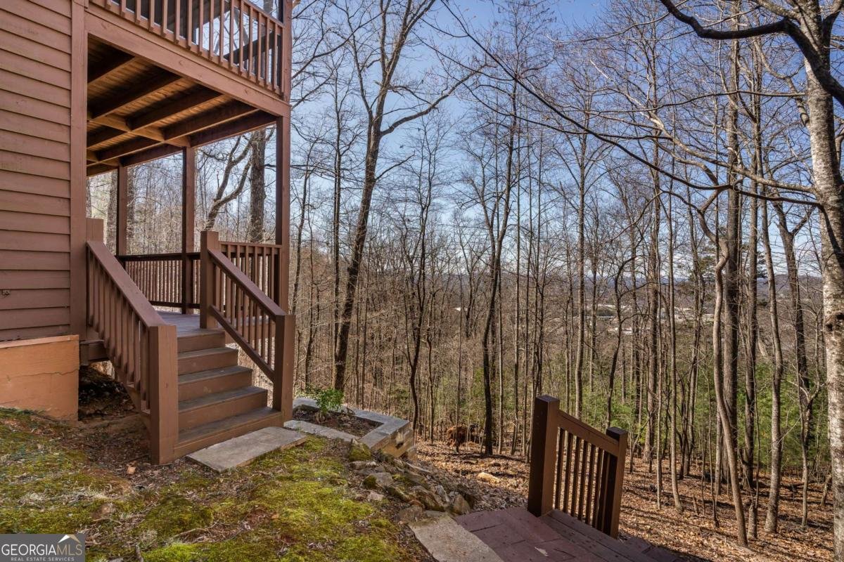 257 AJs Holler Blairsville - Photo 47